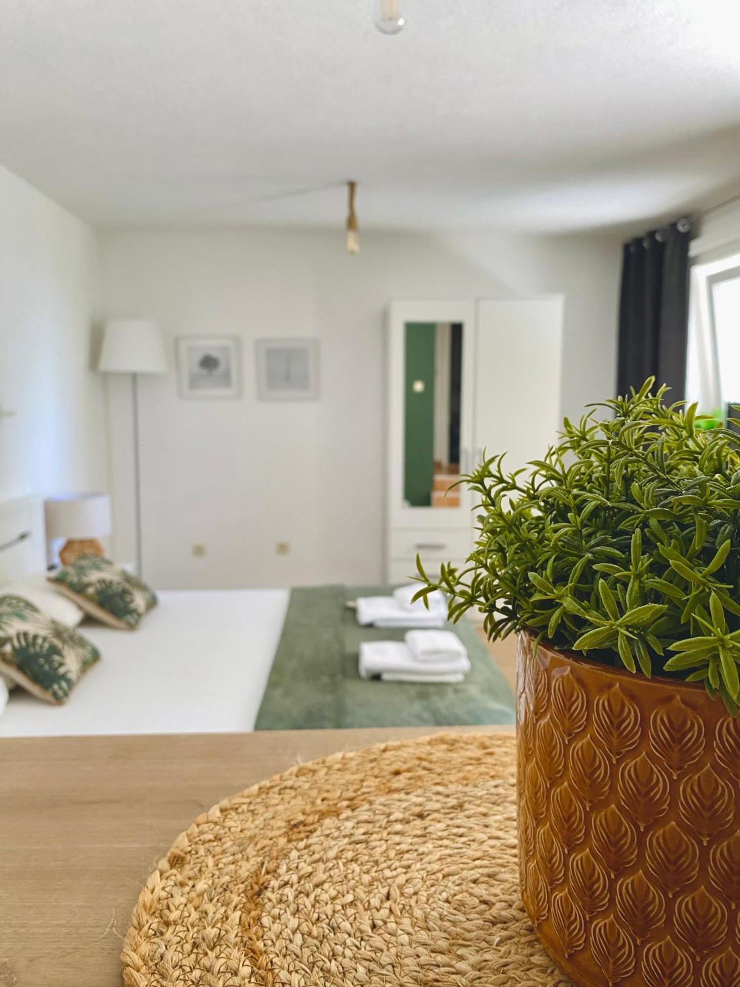 Apartments & Rooms Joy Of Life In Makarska Buitenkant foto